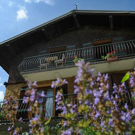 Chalet Genepi Montriond Εξωτερικό φωτογραφία