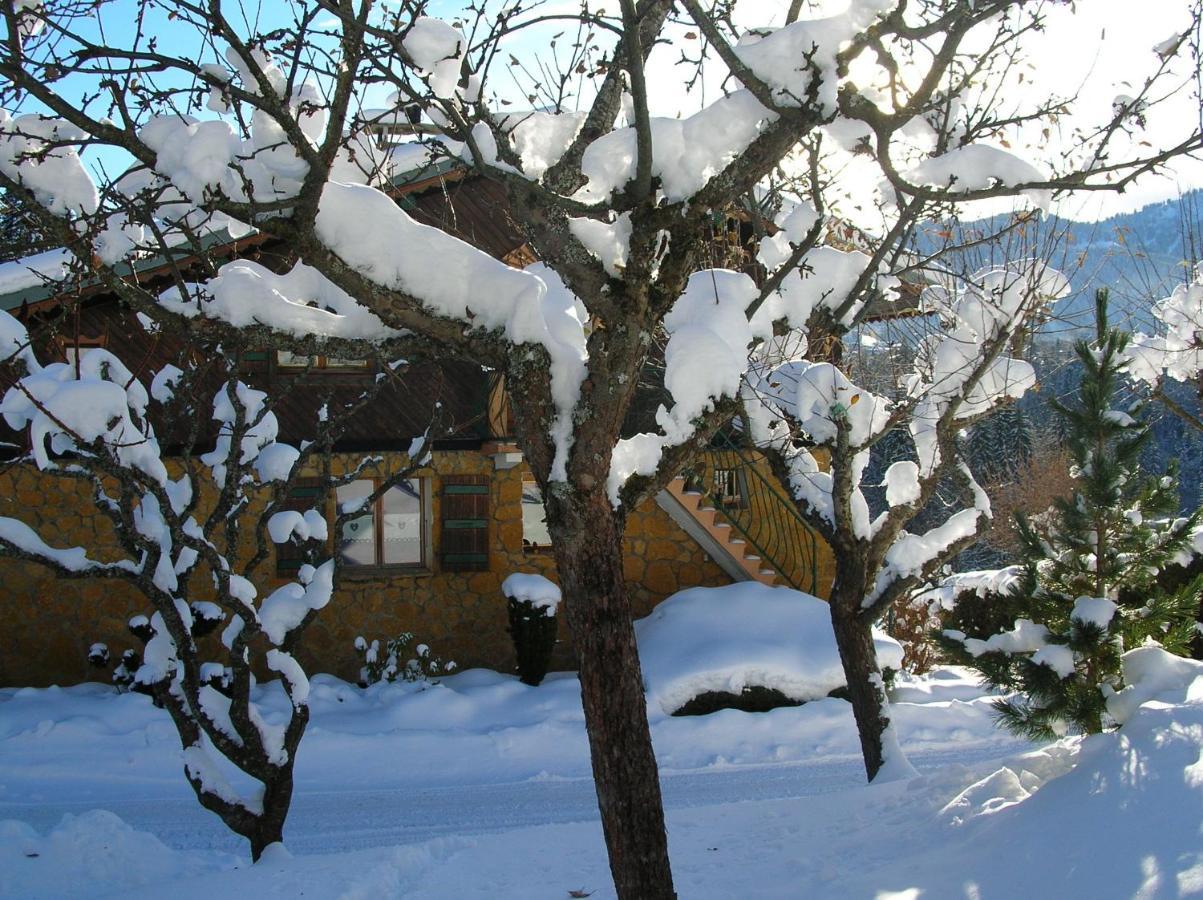 Chalet Genepi Montriond Εξωτερικό φωτογραφία