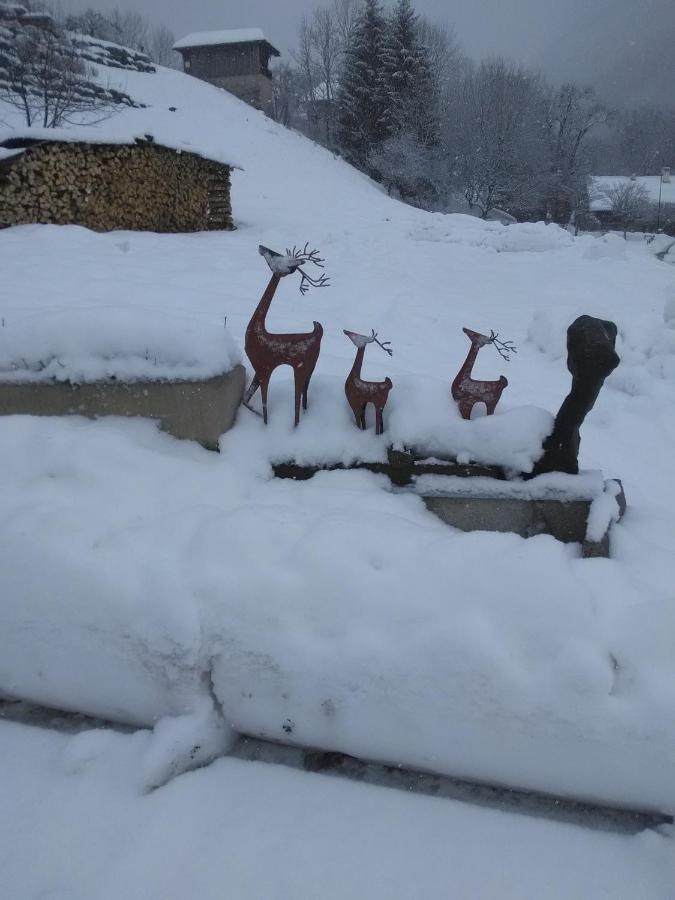 Chalet Genepi Montriond Εξωτερικό φωτογραφία