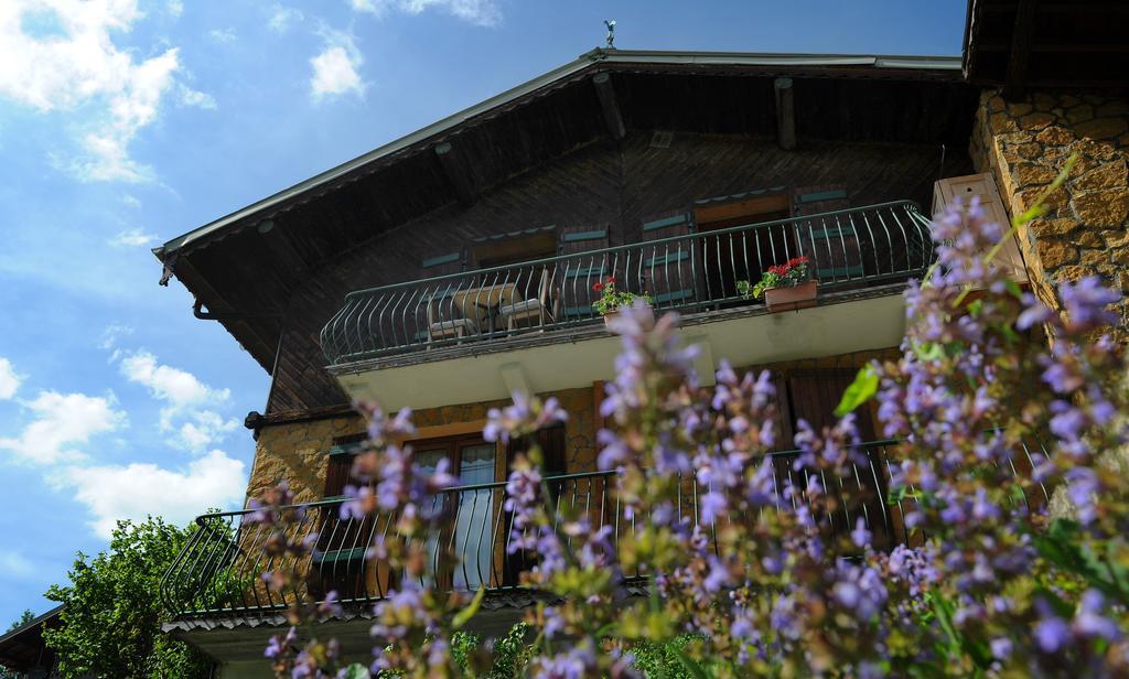 Chalet Genepi Montriond Εξωτερικό φωτογραφία