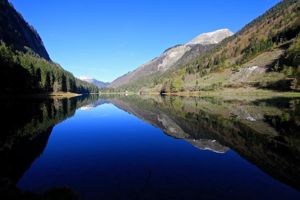 Chalet Genepi Montriond Εξωτερικό φωτογραφία