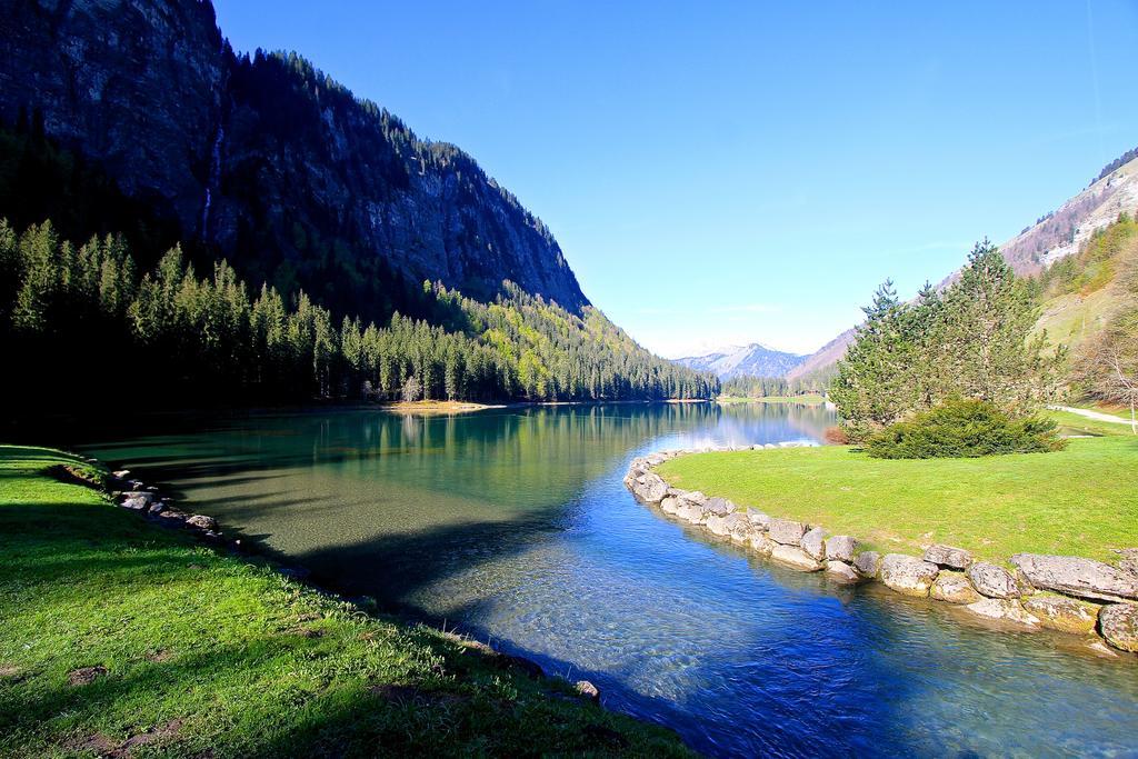 Chalet Genepi Montriond Εξωτερικό φωτογραφία