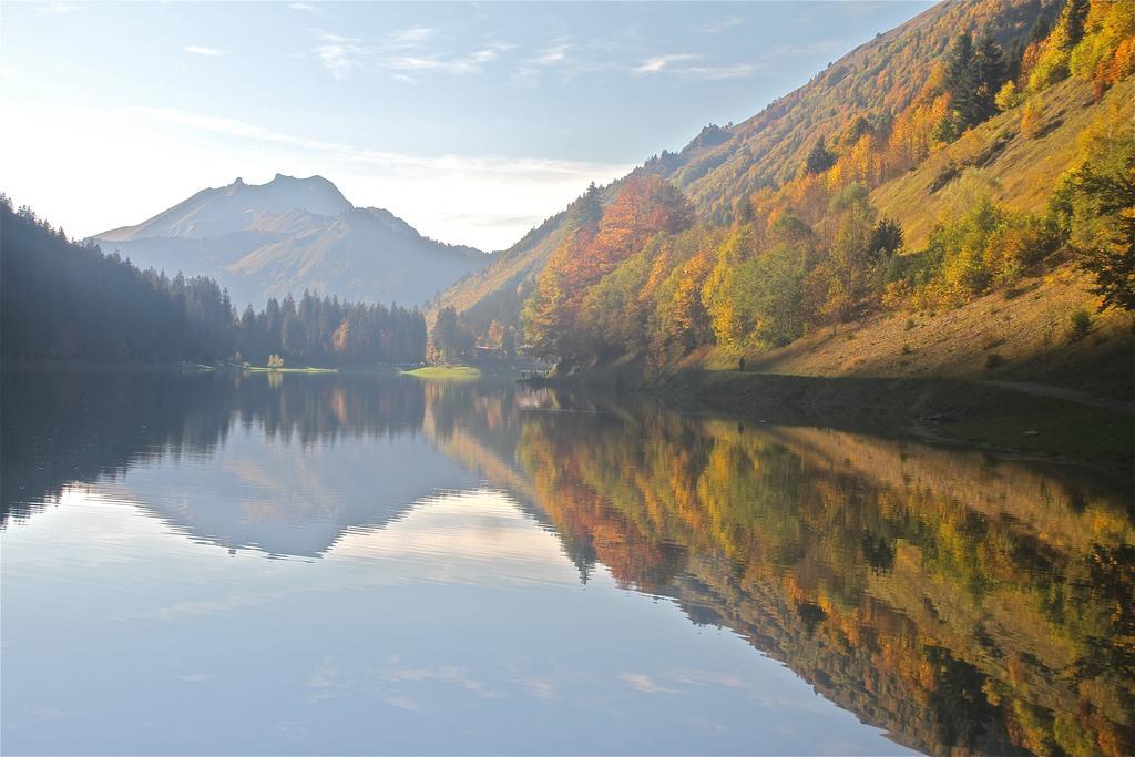 Chalet Genepi Montriond Εξωτερικό φωτογραφία