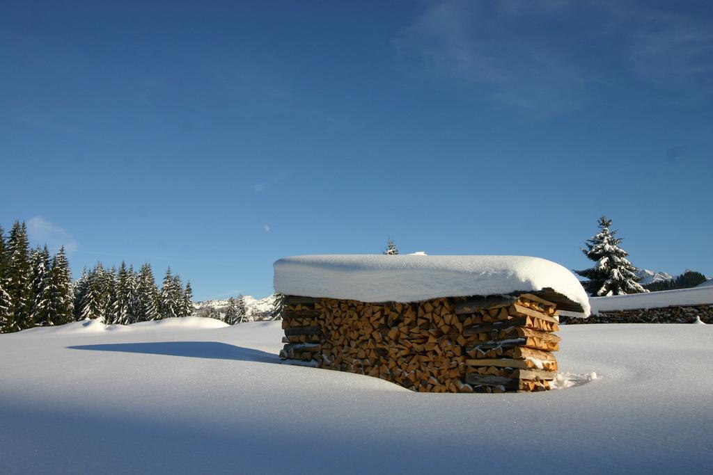 Chalet Genepi Montriond Εξωτερικό φωτογραφία