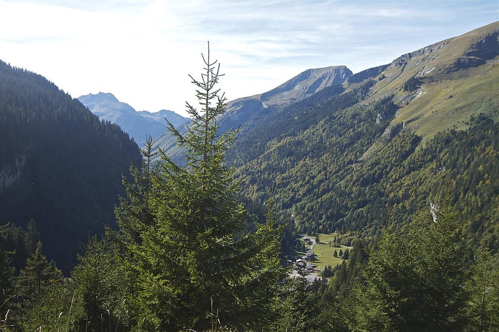 Chalet Genepi Montriond Εξωτερικό φωτογραφία